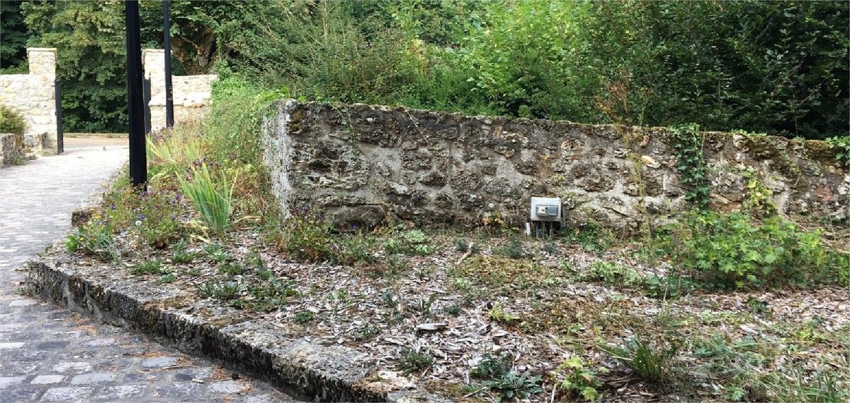 Lettre au maire de Saint-Lambert d’une habitante qui y vit depuis son enfance et qui dénonce l’état déplorable du cimetière de la commune …