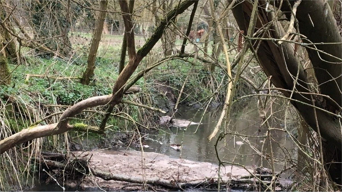 Prairie La Poufile commune de Milon-La-Chapelle.
