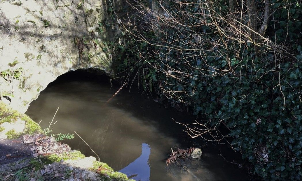 Photo du 08.03.2019 - En aval du pont de la Lorioterie, au niveau du lavoir, une eau noire.