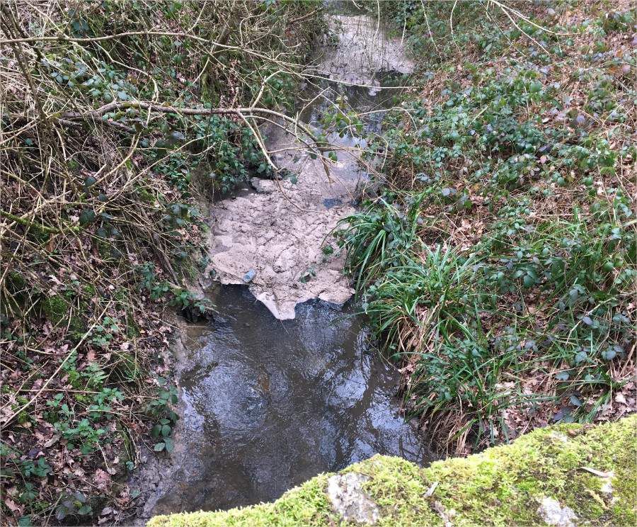 Photos du 08.03.2019 - En remontant depuis le pont de Champ-Garnier jusqu'à la buse en béton située à la hauteur de la maison forestière abandonnée.