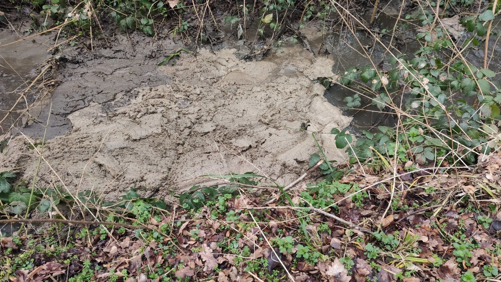 Ce samedi matin 8 février !