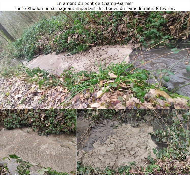 Ce samedi matin 8 février !