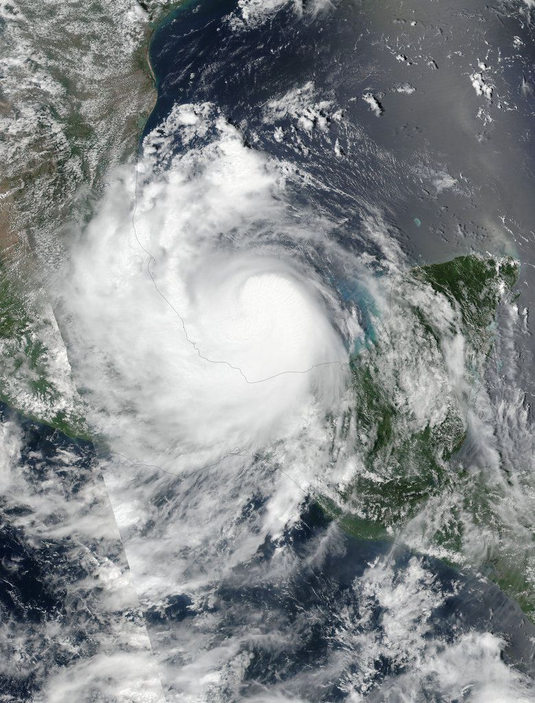 Hurrikane Franklin am 10. August über dem Golf von Meiko Quelle: NASA Earth Observatory