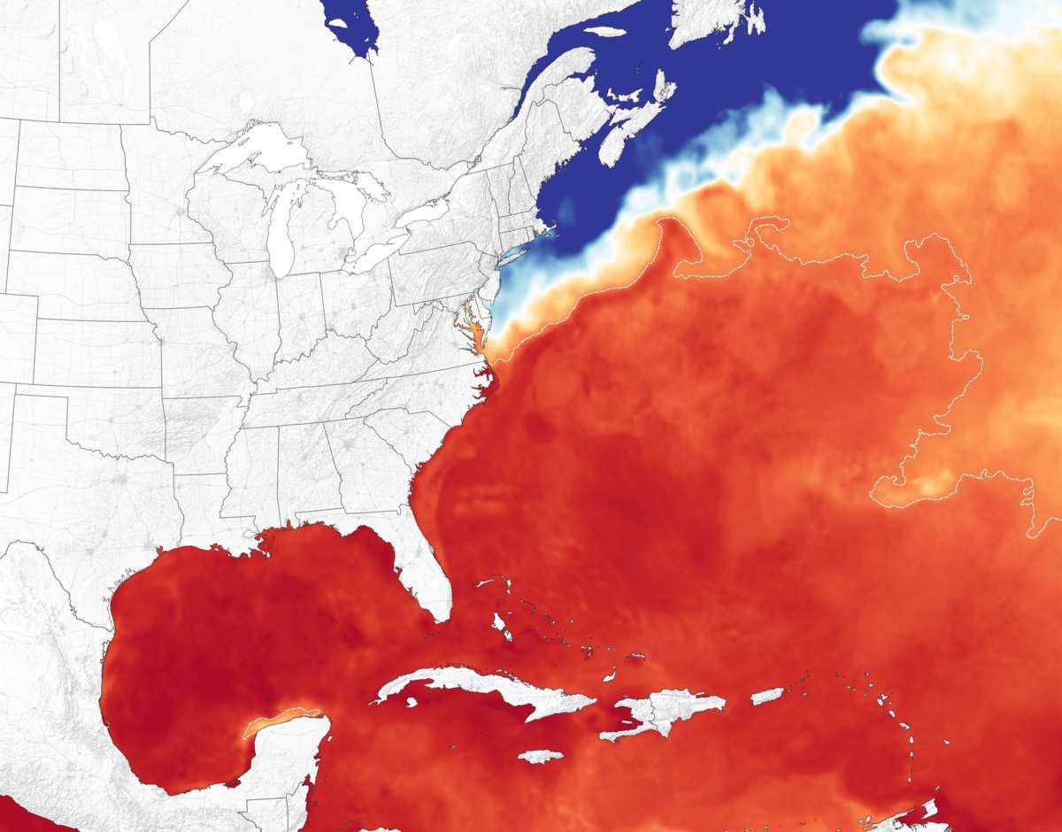 die Warmwasserverteilung vor der US-Ostküste und der Karibik am 12. September aufgrund Datenlage der NOAA Coral Reef Watch, die gestrichelte linie markiert die 27,8°C marke Quelle: NASA Earth Observatory