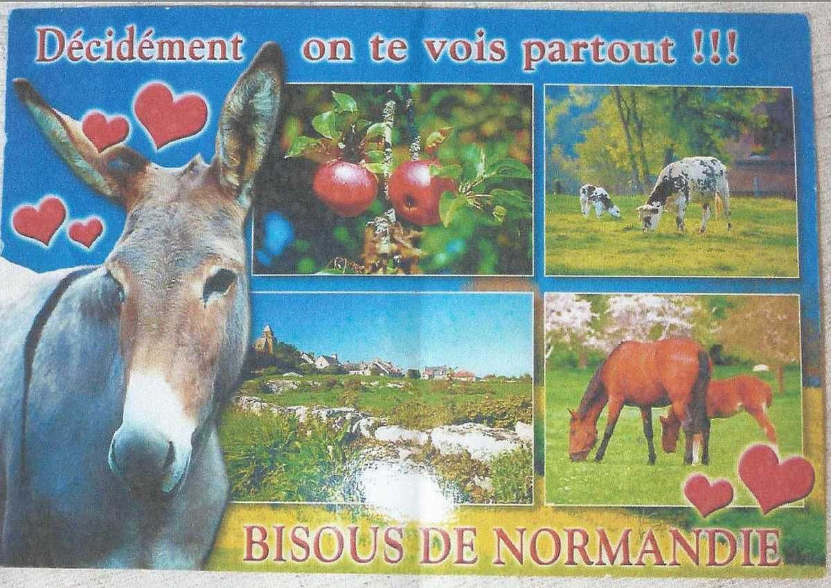 France, ta langue fout le camp….