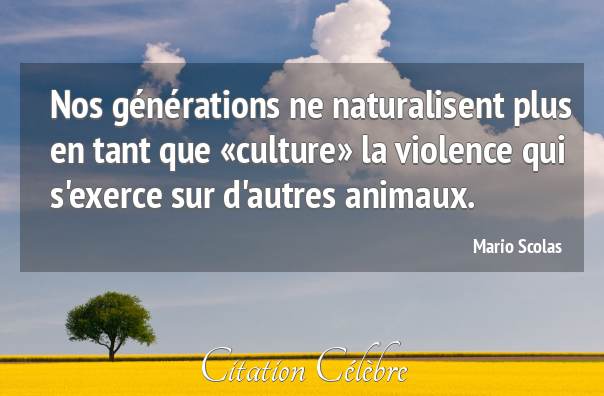 Nos générations ne naturalisent plus en tant que «culture» la violence qui s'exerce sur d'autres animaux.
