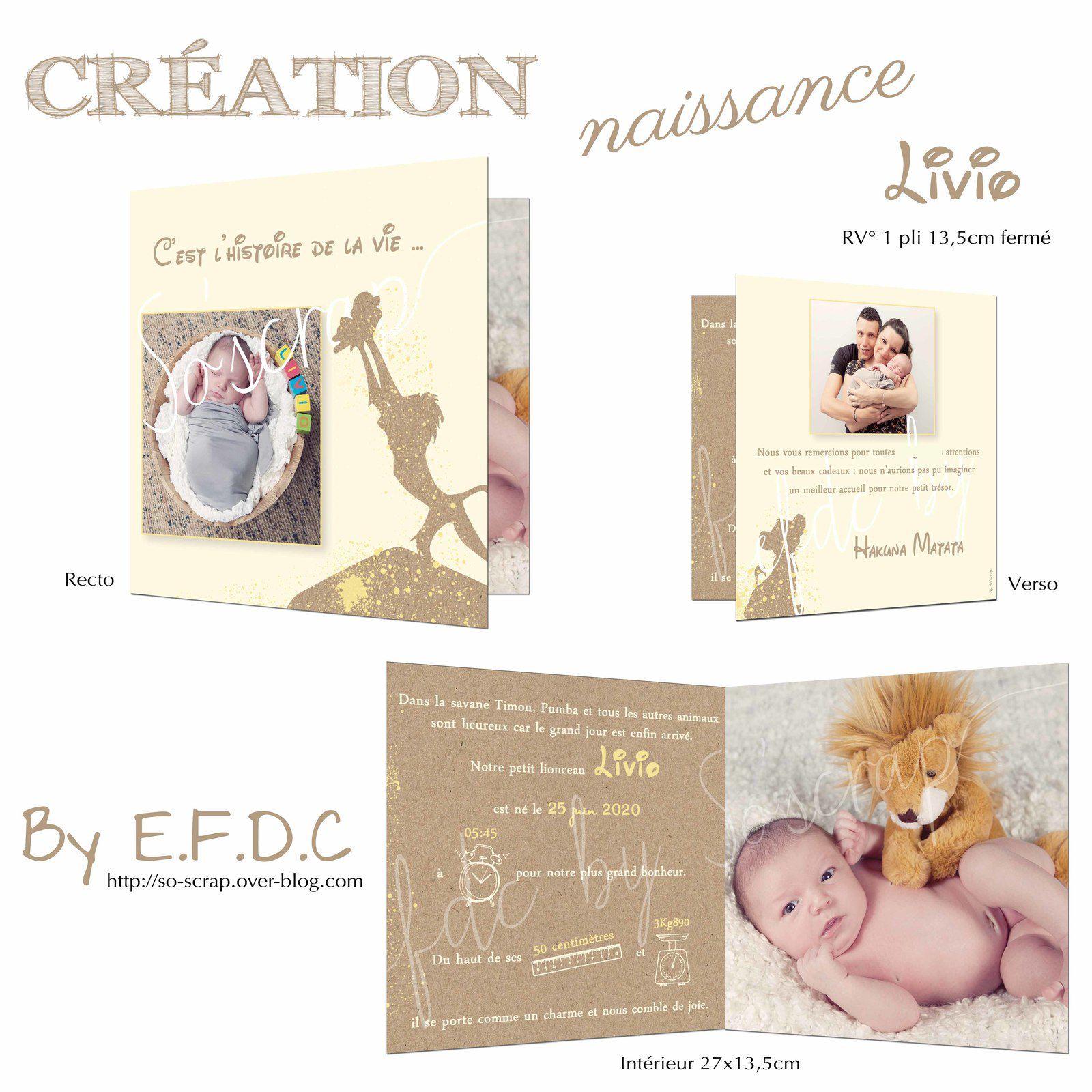 Le faire part de naissance du petit Livio ... roi lion (lion king) Simba -  Le Blog EFDC by So'scrap