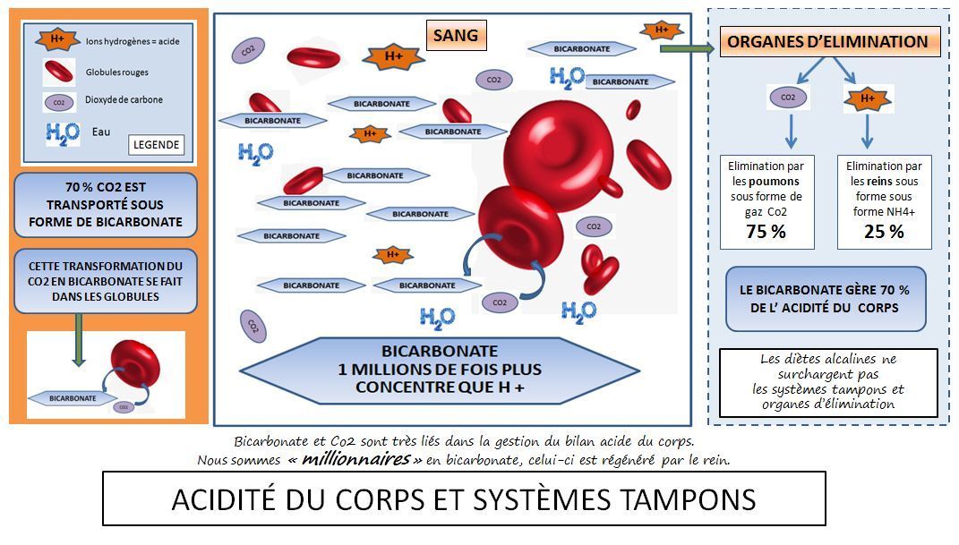 ACIDITE ET SYSTEMES TAMPONS : Nanoconcentration ? - Votre santé par la  nature