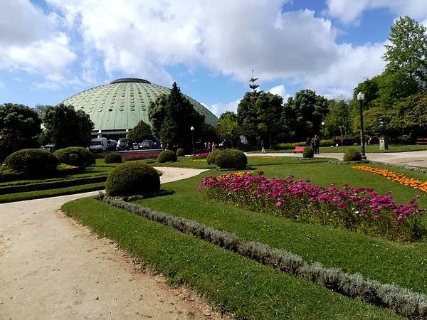 Bom Dia... Porto - 2... les coups de coeur...