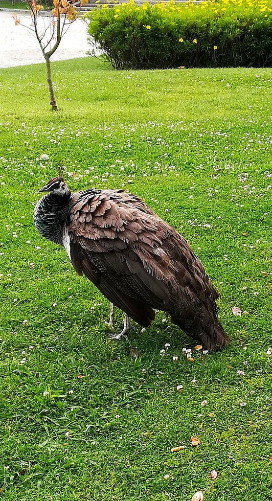 Bom Dia... Porto - 2... les coups de coeur...