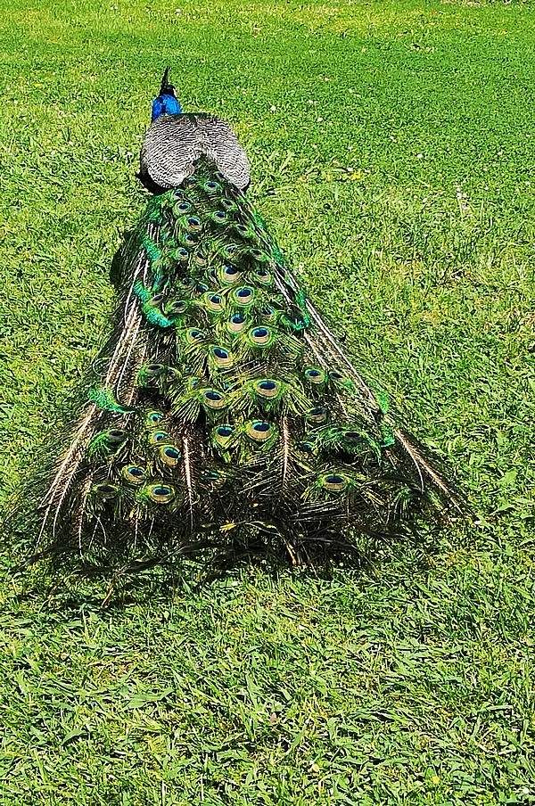 Bom Dia... Porto - 2... les coups de coeur...