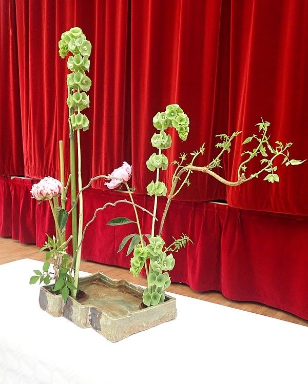 Rando-expo-et presque dodo !!!