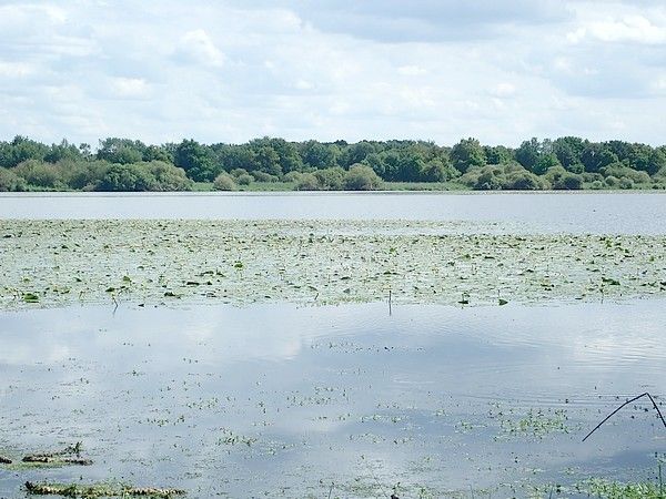 Rando-expo-et presque dodo !!!