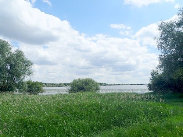 Rando-expo-et presque dodo !!!