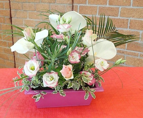 Rando-expo-et presque dodo !!!