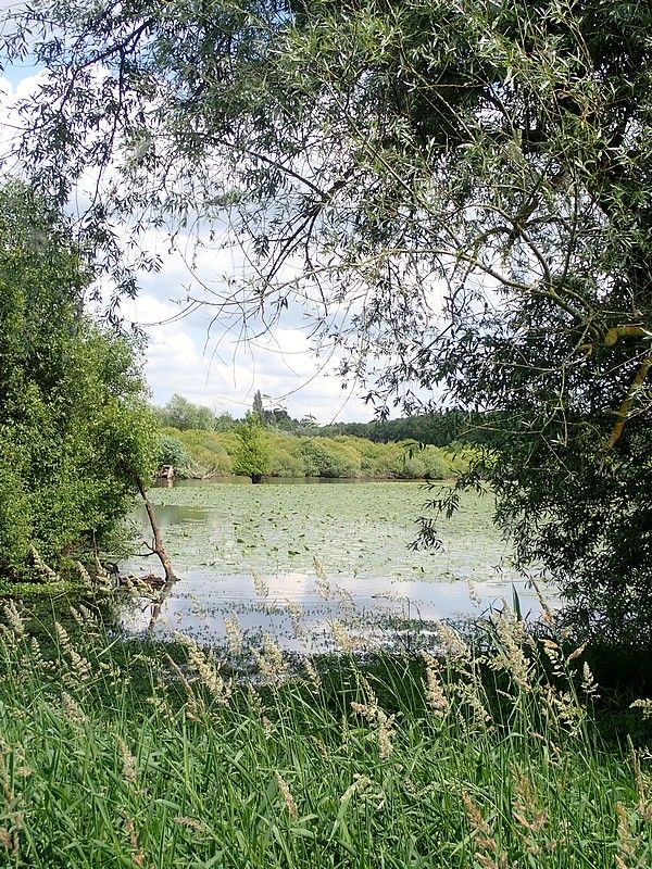 Rando-expo-et presque dodo !!!