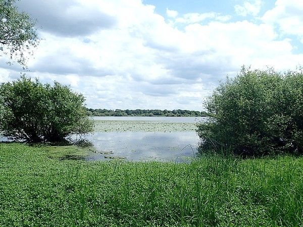 Rando-expo-et presque dodo !!!