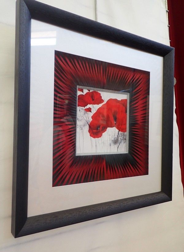 Rando-expo-et presque dodo !!!