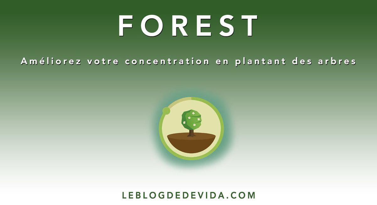 forest