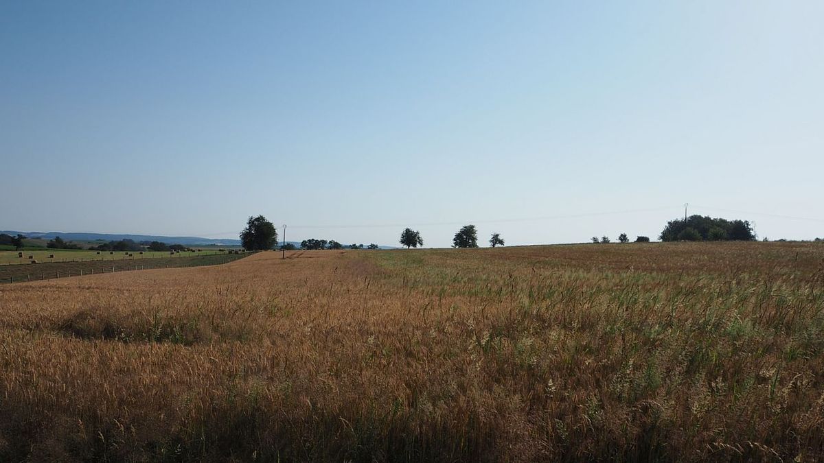 Il fait beau et chaud LES VOIVRES 88240