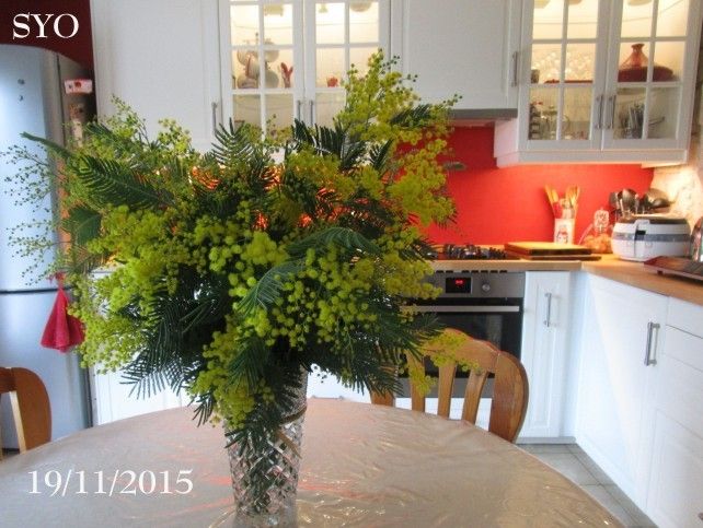 Un nouveau petit fuseau....Bottes de Noël et Mimosa