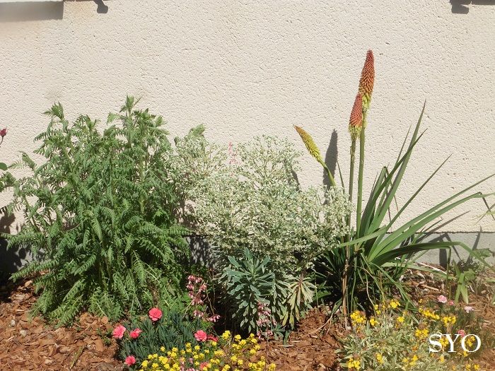 Jardin de Fille, un plaisir renouvelé