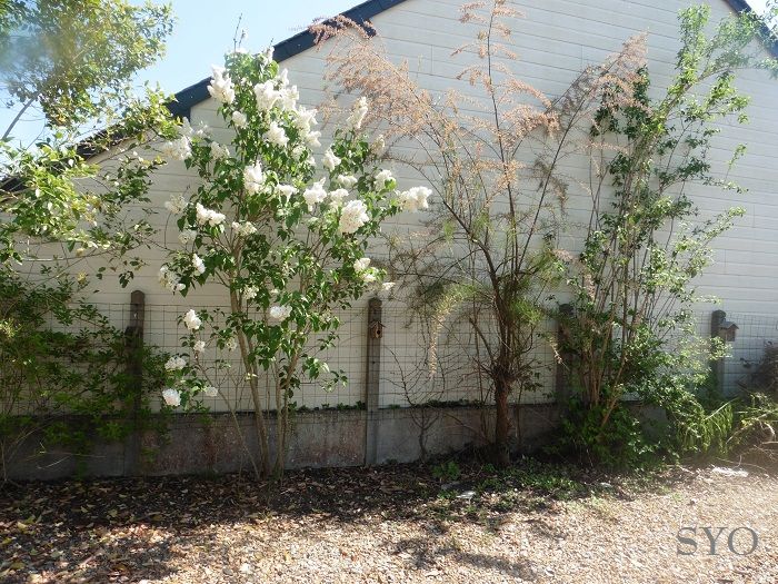 Jardin de Fille, un plaisir renouvelé