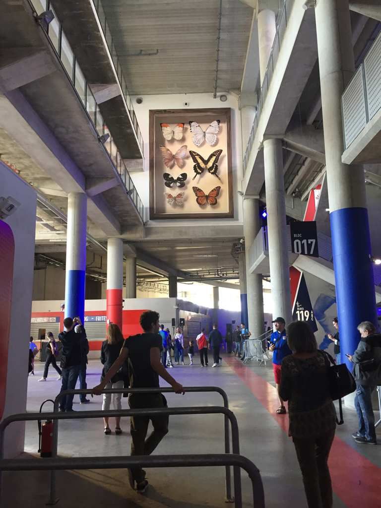 Du street art sur les murs du Groupama Stadium à Lyon