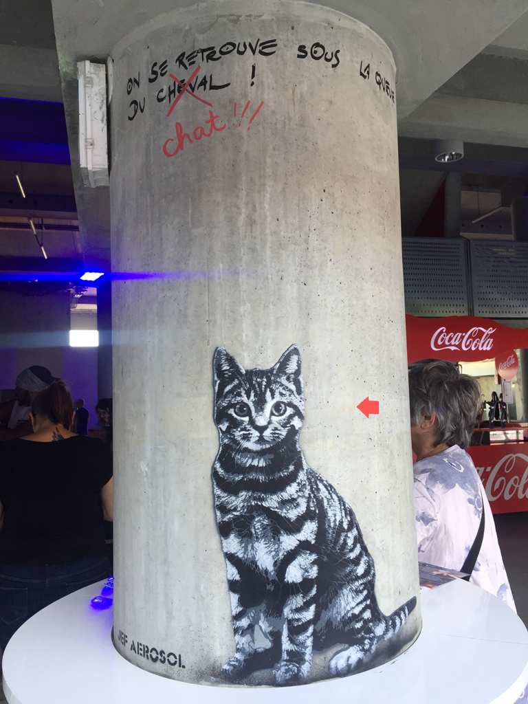 Du street art sur les murs du Groupama Stadium à Lyon