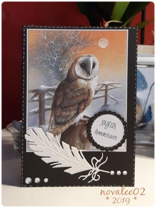 Cartes Anniversaire Carterie Cetera Novalee02 Cartes Anniversaire Carterie Cetera Novalee02