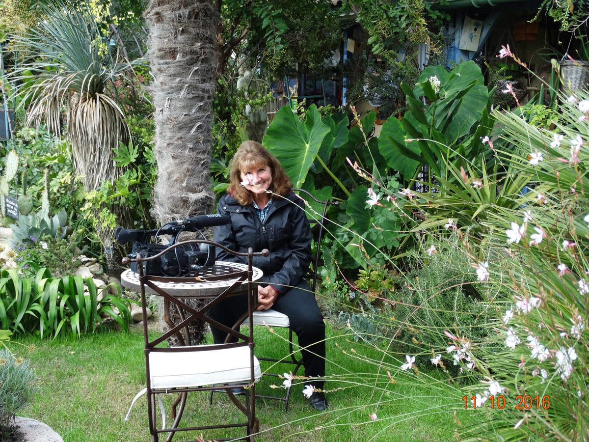Photos récentes de mon jardin Le Clos Fleuri  ......Les dernières ont été prises par Jacques mon mari lors du tournage de Hortus focus    http://hortus-focus.fr/le-blog/  avec Isabelle Morand 