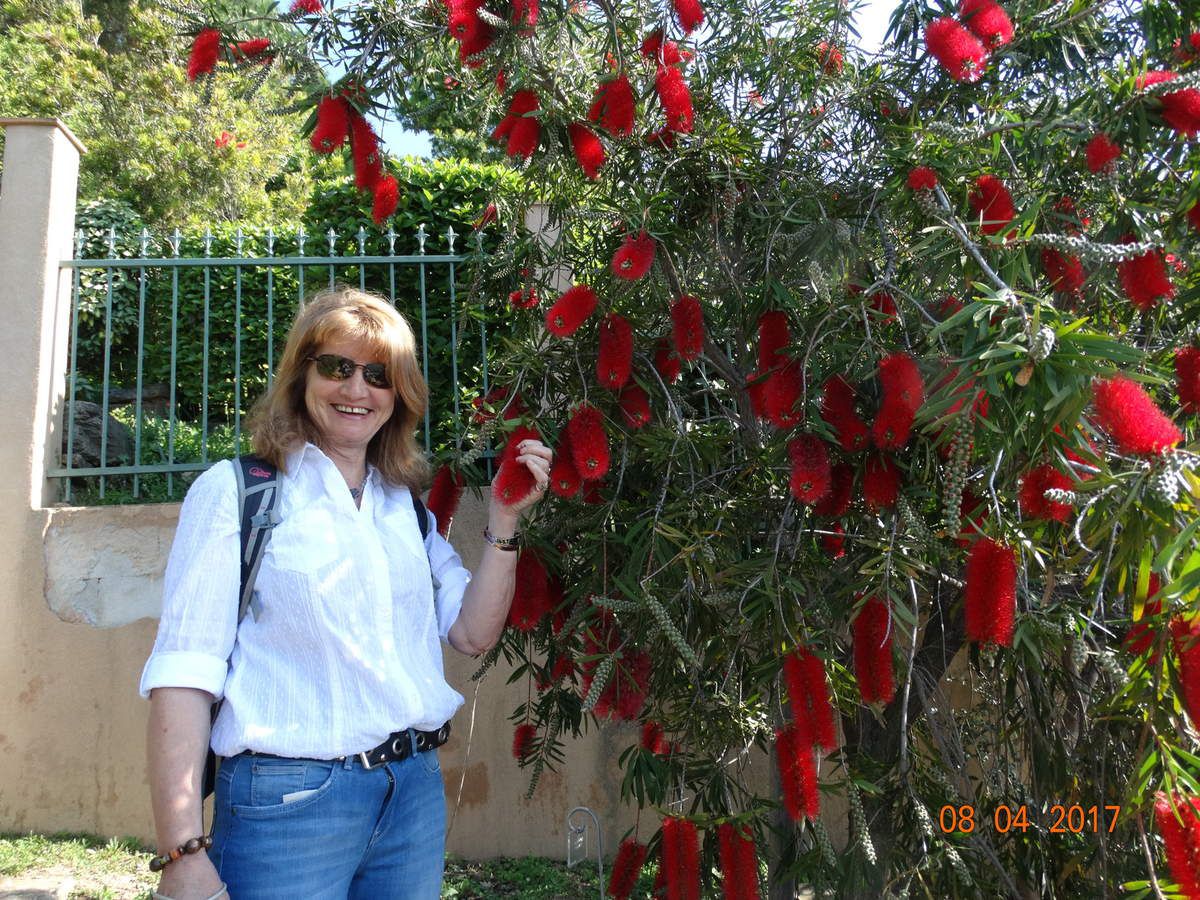 Mon voyage dans le Var avec la visite du parc Gonzales à Bormes les Mimosas 
