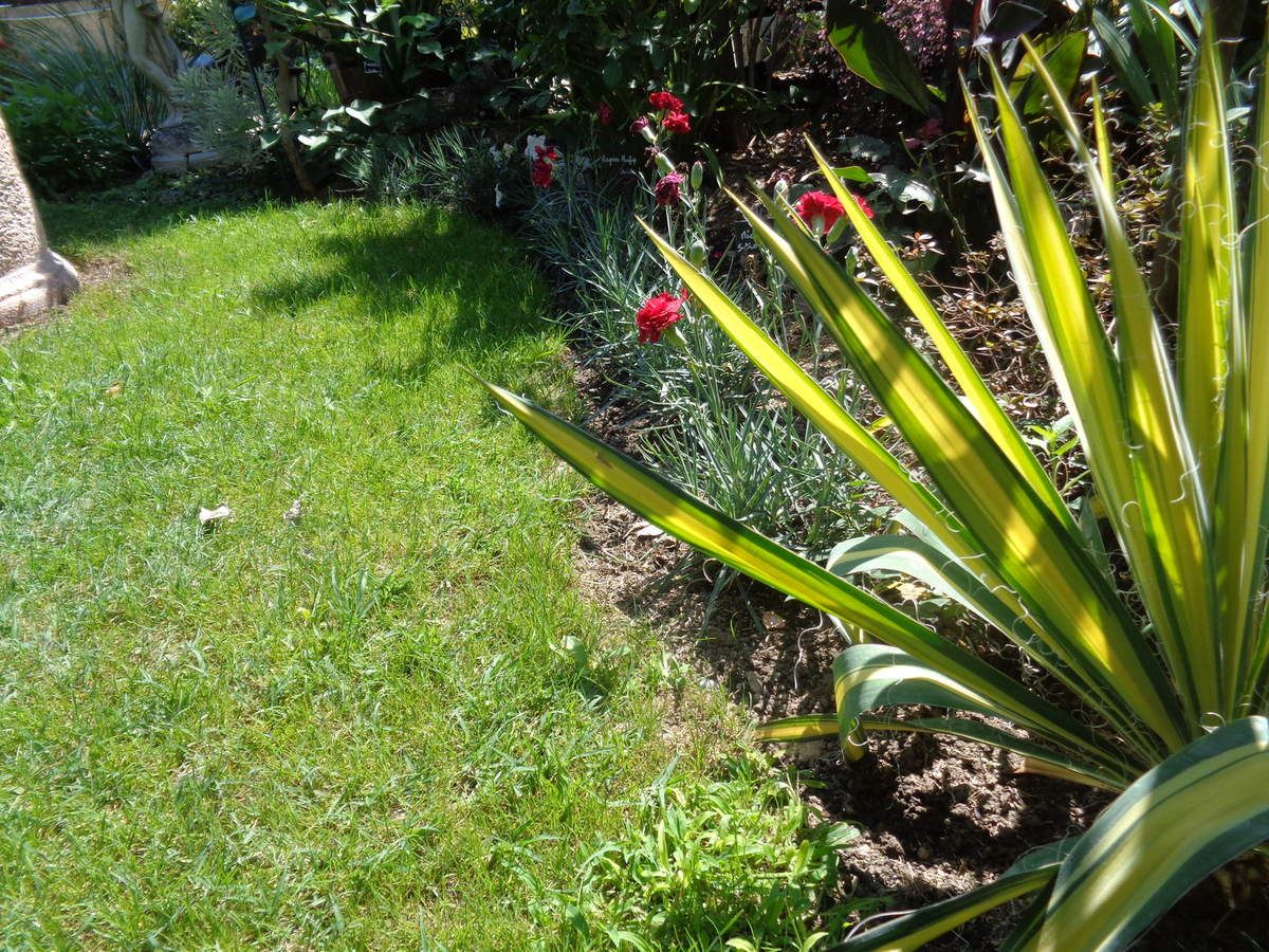 Ma bordure ......