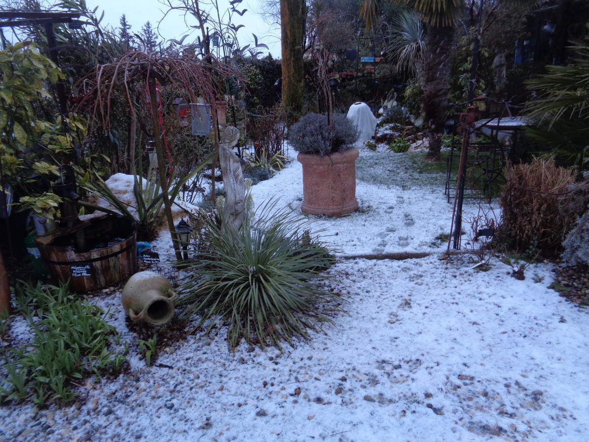 Le premier mars 2018 ,une petite couche de neige dans le jardin (léger saupoudrage )