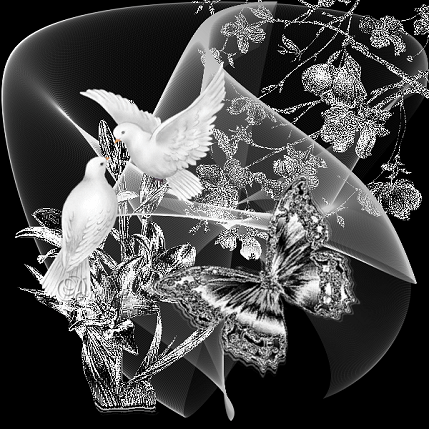 Mon jardin Le Clos fleuri après le 15 août ......