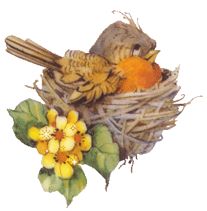 Mon jardin Le Clos fleuri après le 15 août ......