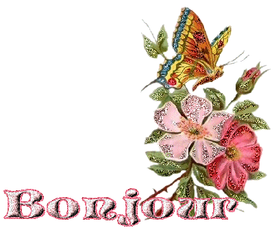 Mon jardin Le Clos fleuri après le 15 août ......