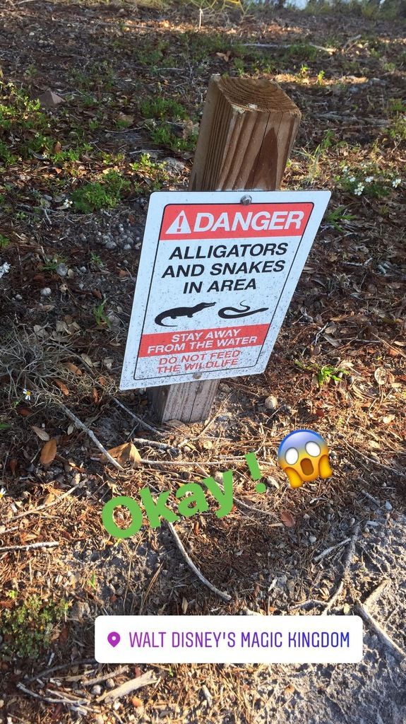 Gratuit Images Disney Magic Kingdom Les Voyages D Anais Un Blog Voyage Plein actualisé par