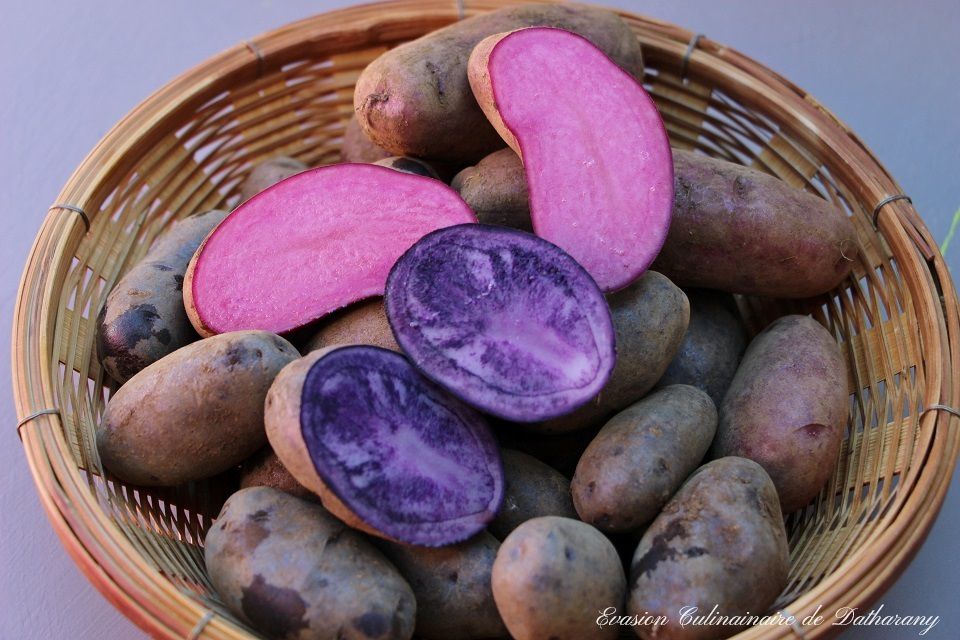 Quand les pommes de terre à chair colorée s'invitent à table... - Evasion  Culinaire de Datharany