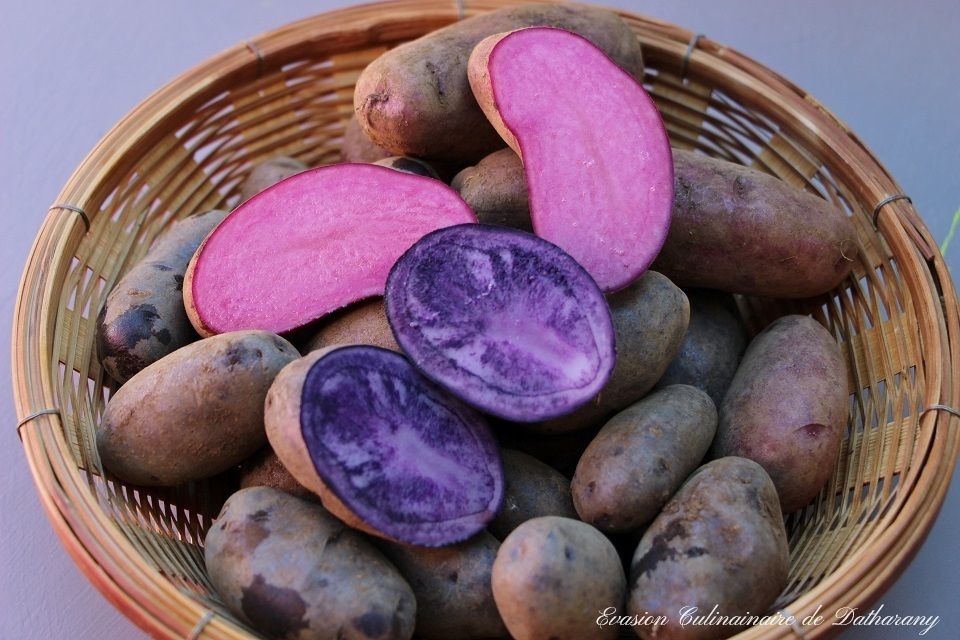 Quand les pommes de terre à chair colorée s