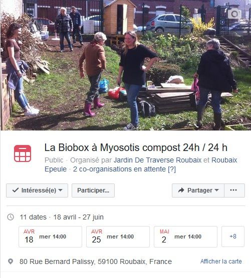 Biobox à Myosotis compost 24h / 24 h