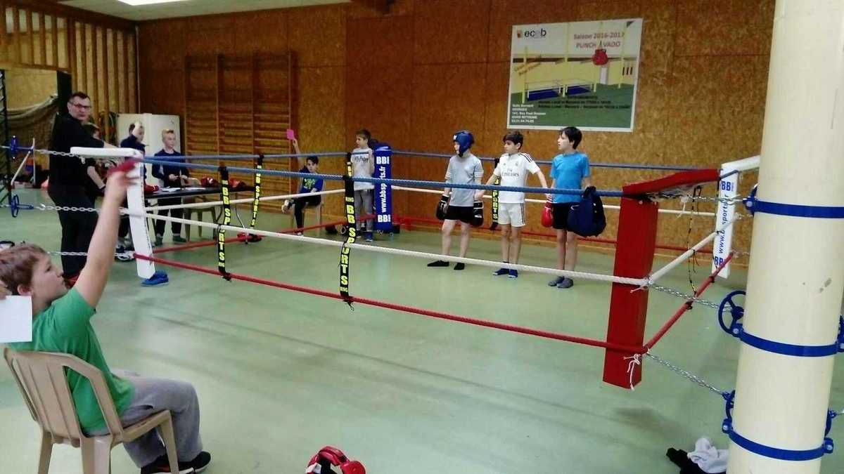 Sainte-Famille : La Sportive : Boxe, Futsal, Volley, Triathlon ! 