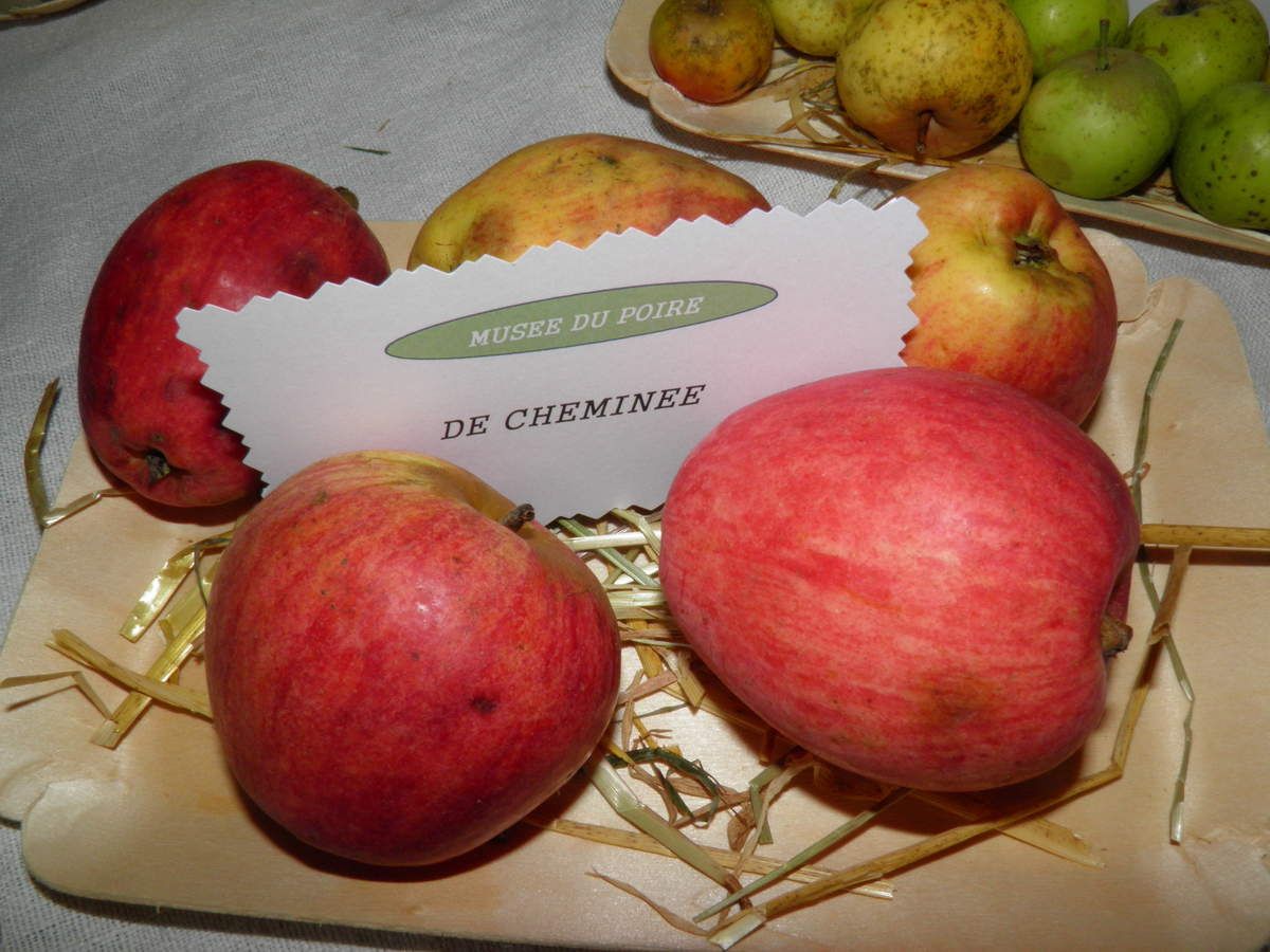 Différentes sortes de pommes à cidre et à couteau - Le blog de la ...