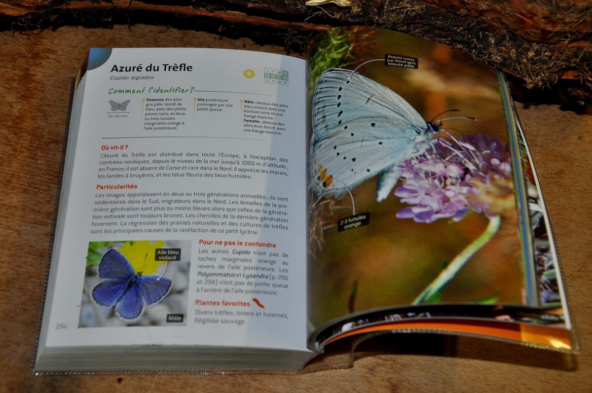 Le livre l'indispensable guide de l'amoureux des papillons
