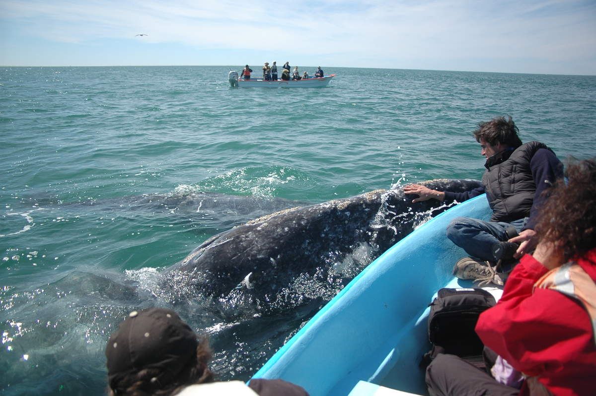 Escapade en Baja California cet hiver ?
