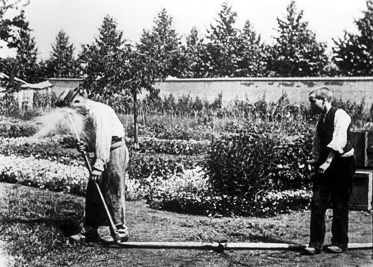 Arroseur et arrose © Collection Institut Lumière