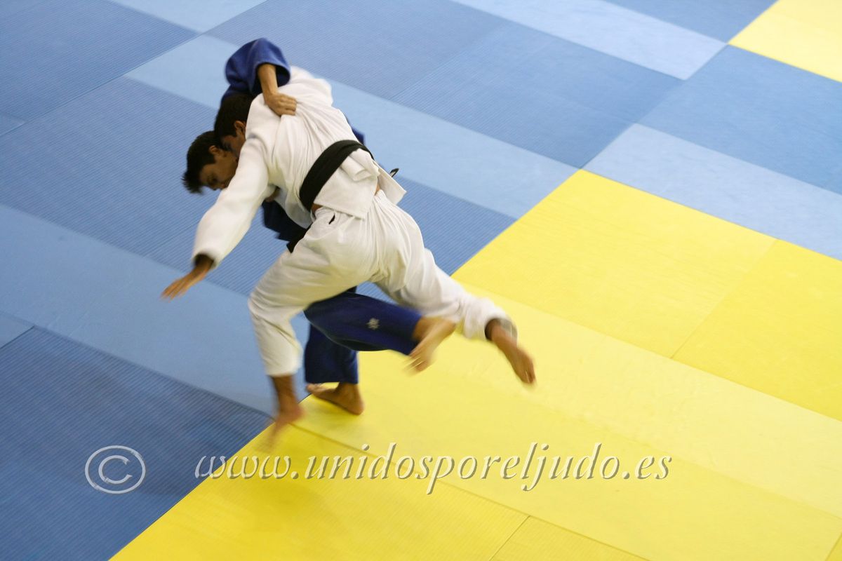 Fotos de nuestros judokas en acción.