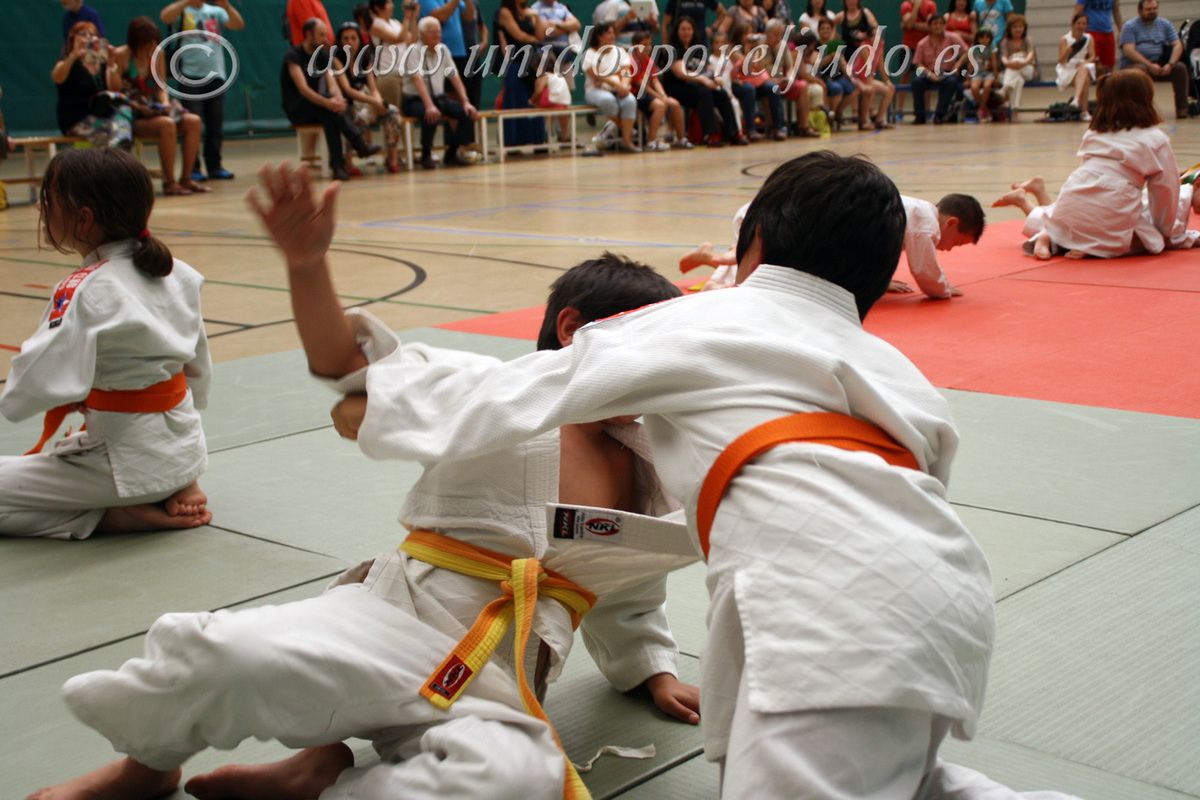 Fotos torneo fin de Curso Carlos Arroyo