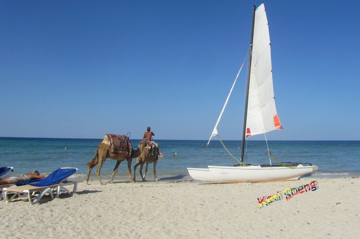 Animación y descanso en  las playas de la isla de Djerba y paseos a caballo o en dromedario por  el lago salado.