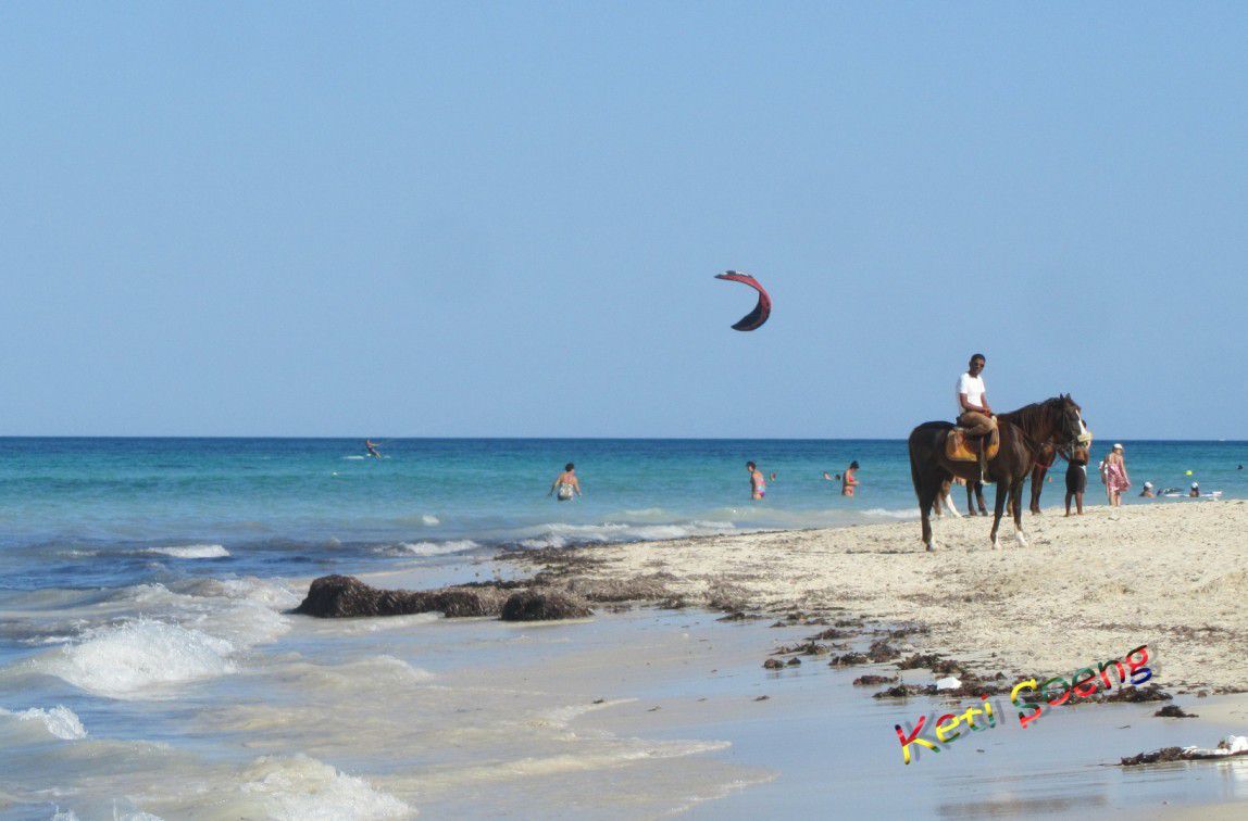 Animación y descanso en  las playas de la isla de Djerba y paseos a caballo o en dromedario por  el lago salado.